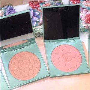 4 Brit ONLY! Colourpop Garden Variety 2 Blush